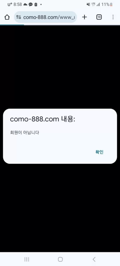 코모벳 (COMOBET)6